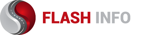 logo Flash info Salesky