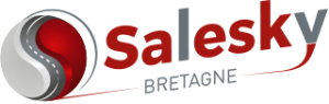 Logo Salesky Bretagne